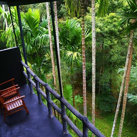 Cool Garden Belihuloya Ngoại thất bức ảnh